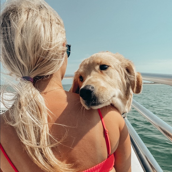 Meet your Posher, Victoria - Picture 3 of 4